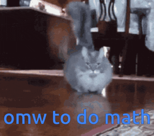 Cat Fast Omw To Do Math Maths Gato GIF