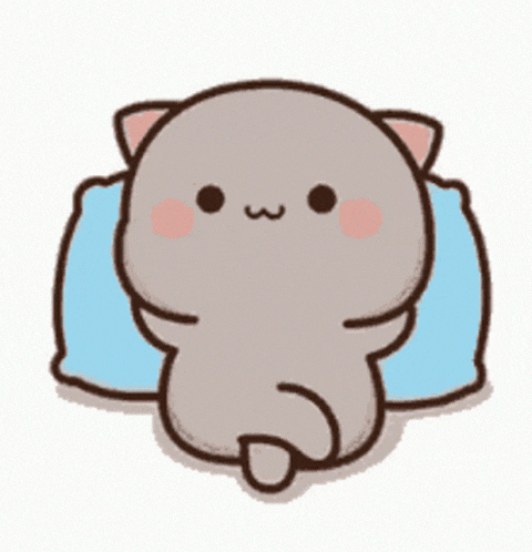 Cat Fight Cats GIF