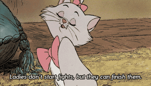 Cat Fights GIF