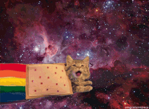 Cat Fly GIF. This 498 x 364 animated GIF is part of our galaxy collection. Related themes include cat, fly, rainbow. Created by CycuBaka. View the original…