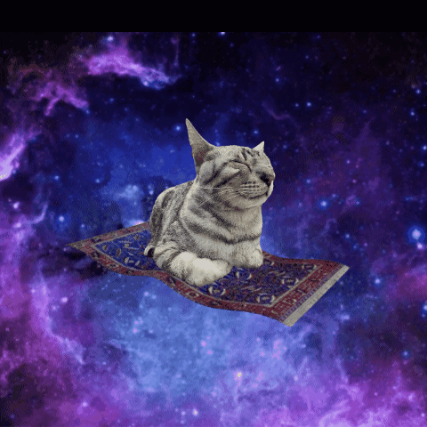 Cat Flying GIF. This 480 x 480 animated GIF is part of our galaxias tumblr collection. Related themes include cat. Created by romario_romul. View the…