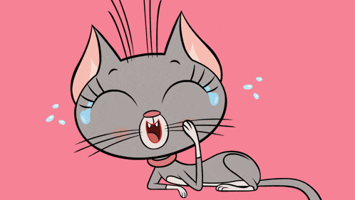 Cat Fun GIF