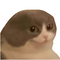 Cat Funny Cat Sticker