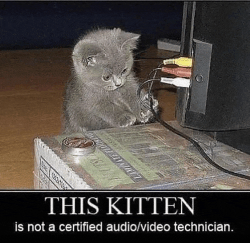 Cat Funny Meme