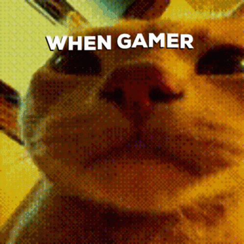 Cat Gamer GIF. This 498 x 498 animated GIF is part of our original nyan cat collection. Related themes include cat. Created by wattzthat. View the original…