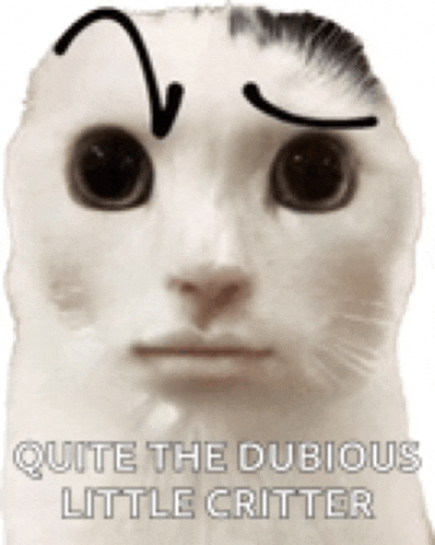 Cat Goofy Ahh Meme