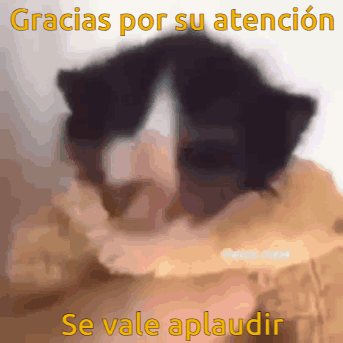 Cat Gracias Por Su Atencion GIF