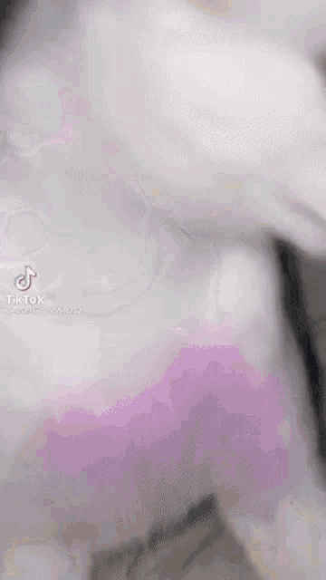 Cat Groovy GIF