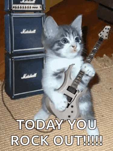 Cat Guitar GIF