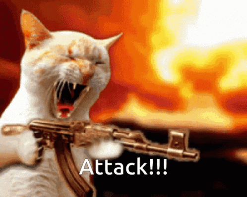 Cat Gun GIF