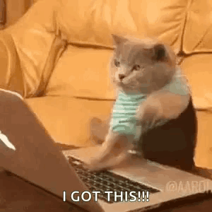 Cat Hack GIF