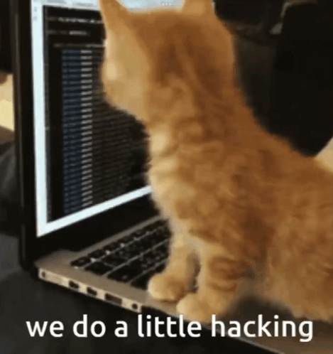 Cat Hacking GIF. This 469 x 498 animated GIF is part of our hacker collection. Related themes include cat. Created by SimonSolv. View the original…