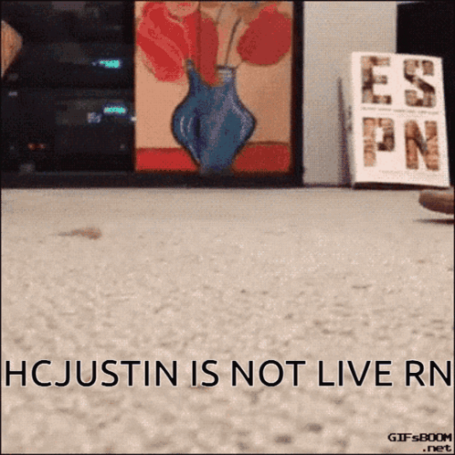 Cat Hcjustin GIF