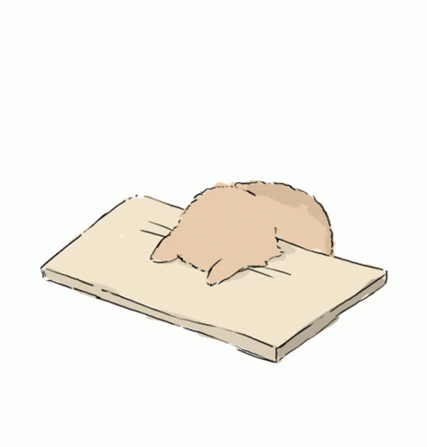 Cat Head Bang GIF