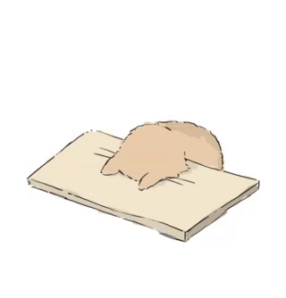 Cat-head-bang Table GIF. This 320 x 334 animated GIF is part of our head banging on desk collection. Related themes include annoyed, cat, tired. Created by…