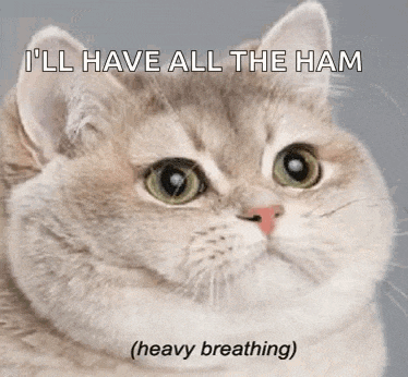 Cat Heavybreathing GIF