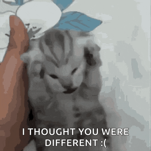 Cat Holding Head Sad Cat GIF