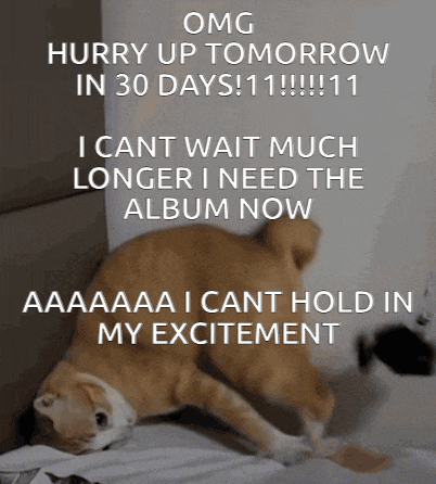 Cat Hurry Up Tomorrow GIF