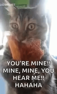 Cat I Can Have Pizza GIF. This 202 x 330 animated GIF is part of our mine mine mine collection. Related themes include cat, funny animals. Created by…