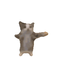 Cat Jumping Catjump Sticker