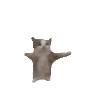 Cat Jumping Sticker