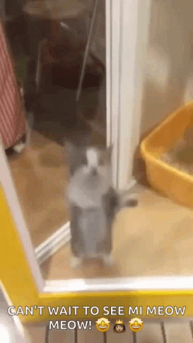Cat Jumping GIF. This 280 x 498 animated GIF is part of our super content collection. Related themes include cat, dance, dancing. Created by pad_thai. View…