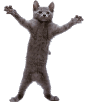 Cat Kaikohoshi Sticker