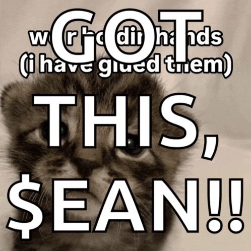 Cat Kat Meme