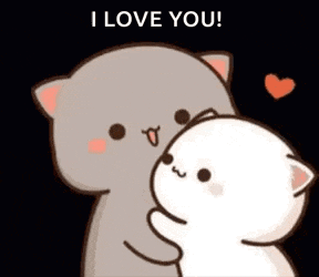 Cat Kiss Hugs GIF
