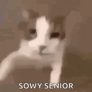 Cat Kiss GIF