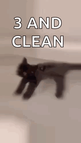 Cat Kitty Cat GIF. This 282 x 498 animated GIF is part of our geburtstag katzen collection. Related themes include cat. Created by RyanSchenks. View the…