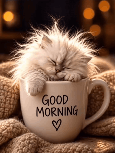 Cat Kitty Coffee Good Morning Sleepy Yawn GIF
