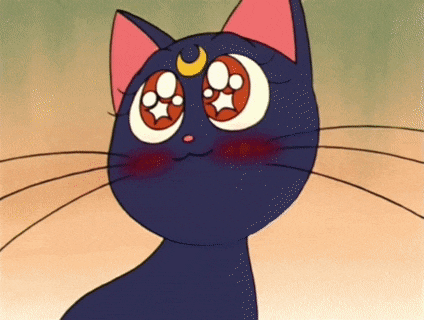 Cat GIF