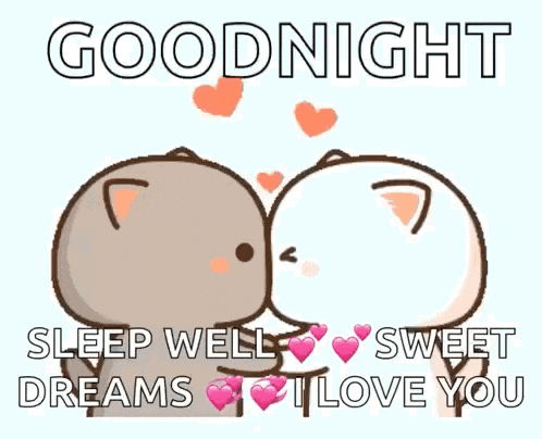 Cat Love GIF