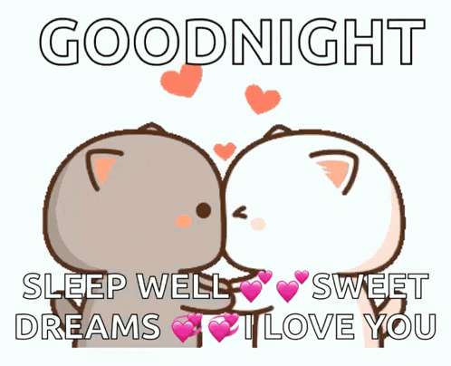 Cat Love GIF