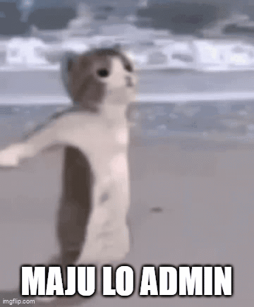 Cat Maju Lo Admin GIF