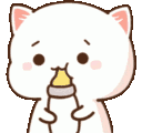 Cat Meme Cat Hug Sticker