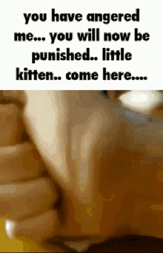 Cat Meme Get Real GIF