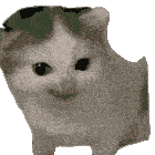 Cat Meme Sticker