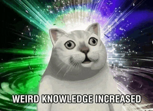 Cat Meme Knowledge Meme
