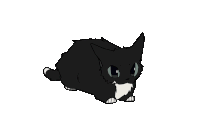 Cat Meme Sticker
