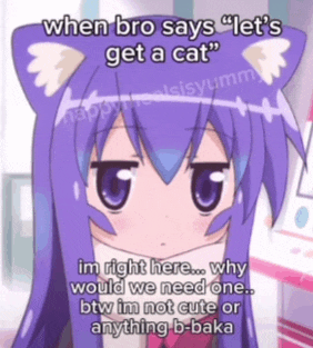 Cat Meme