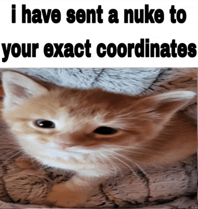 Cat Meme War Cat Meme