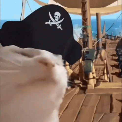 Cat GIF