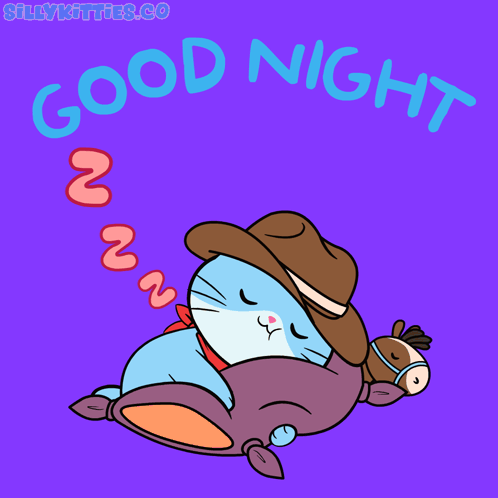 Cat Night GIF