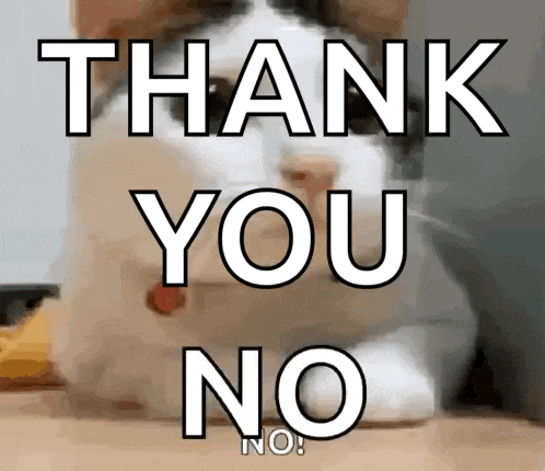 Cat No GIF
