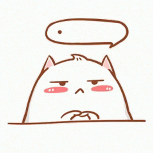 Cat No Words GIF