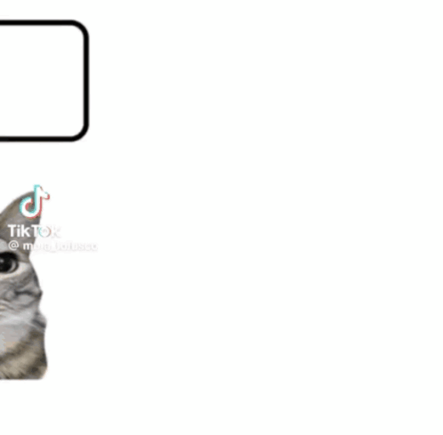 Cat On Phone Cat On Da Phone GIF