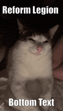 Cat GIF
