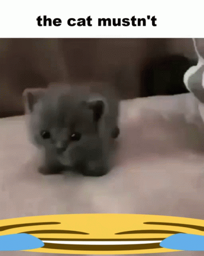 Cat GIF. This 398 x 498 animated GIF is part of our original nyan cat collection. Related themes include cat. Created by kitkat754436. View the original…